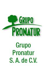 Grupo Pronatur, S.a. de C.v