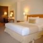 1 King bed, non smoking, terrace, junior suite