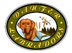 Danfer Labradores