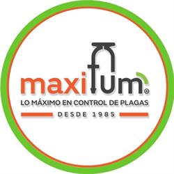 Maxifum de Occidente, S.A. de C.V