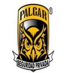 Seguridad Privada Palgar, S.a de C.v
