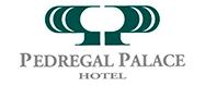 Pedregal Palace Hotel