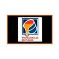 Arguello Profesionales En Placas
