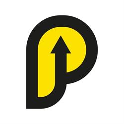 Proveedores y Servicios Especializados, S.A. de C.V. Pysesa