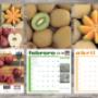 Los mejores Calendarios de México