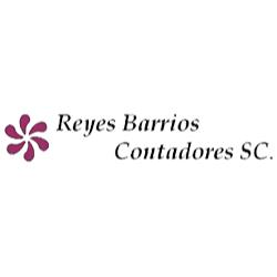 Reyes Barrios Contadores S.C.