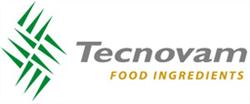 Tecnovam, S.a. de C.v