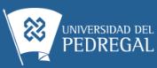 Universidad Del Pedregal Del Sur Sc