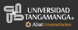 Universidad Tangamanga S.c