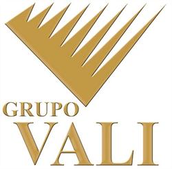 Comercializadora Internacional Vali, S.a. de C.v