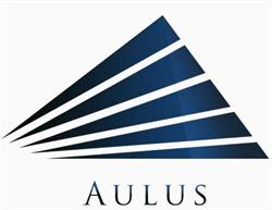 Aulus S.a. de C.v