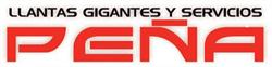 Llantas Gigantes y Servicios Peña, S.A. de C.V