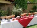 Servicio a domicilio de Cazuelas mexicanas