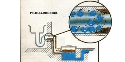productos-biologicos