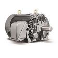 Motores Electricos TECO Westinghouse MAX-HT