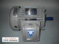 Venta de Motores Electricos TECO Westinghouse