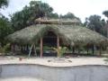 palapas de palmito
