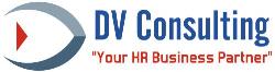 Dv Consulting