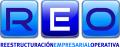 R.E.O. (Reestructuración Empresarial Operativa)