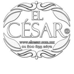 El Cesar - Diseño en Acabados y Decoracion