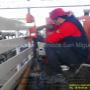 Subido por visitante en 12/02/2016