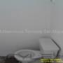 Subido por visitante en 12/02/2016