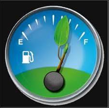 COMBUSTIBLE