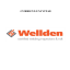Curriculum Vitae de Wellden de Mexico