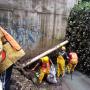 Limpieza de basura en Río