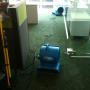 secado de alfombra inundada en oficinas coorporati