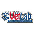Vetlab