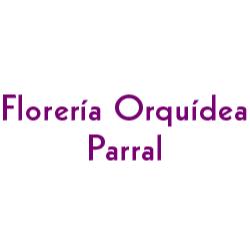 Florería Orquídea Parral