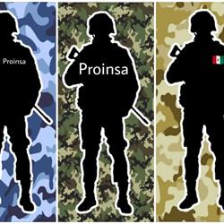 Proinsa