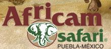 Africam Safari