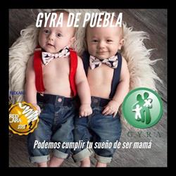 Centro De Ginecologia Y Reproducion Asistida