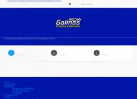 Sitio web de Llantas Y Servicio Salinas