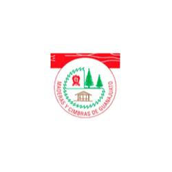 Maderas Y Cimbras De Guanajuato