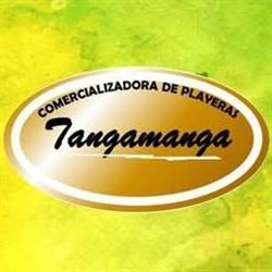 Comercializadora De Playeras Tangamanga