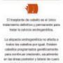 Subido por visitante en 21/07/2016