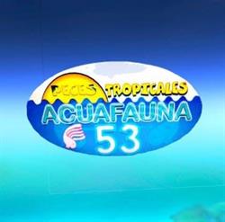 Acuafauna