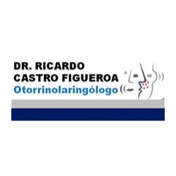Dr. Ricardo Castro Figueroa