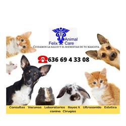 Veterinaria Brangus (Felix Animal Care)