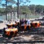 Picnic in the Forest of the Hotel
