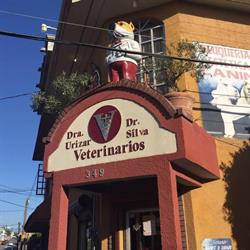 Veterinaria Dr. Silva