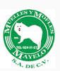 Muelles y Mofles Mayelo S.a. de C.v