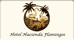 Hotel Hacienda Flamingos
