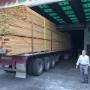 Subido por visitante en 19/03/2017