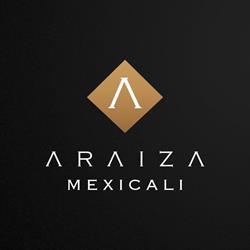 Vision Hotelera Araiza