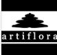 Artiflora - Flores y Follajes Deshidratados