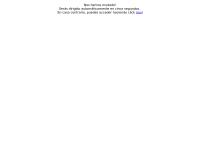 Sitio web de Merik